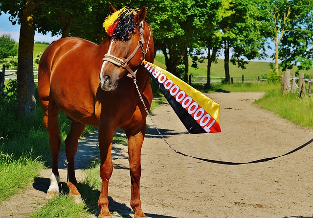 重要課題 重要課題