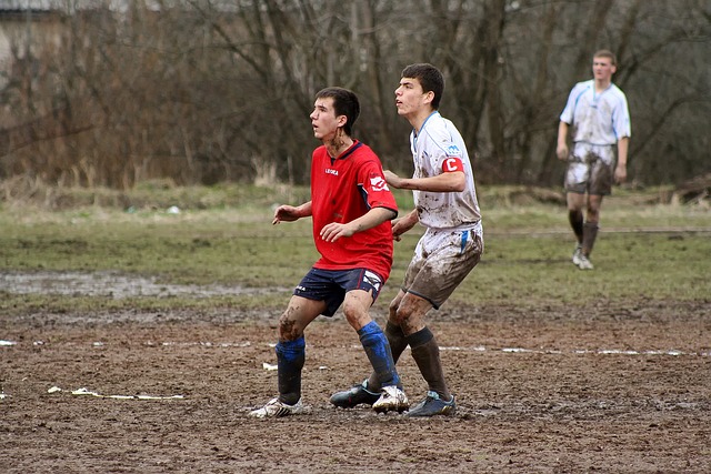 己的价值 己的价值