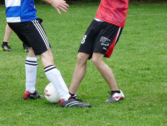 向将继续影 向将继续影